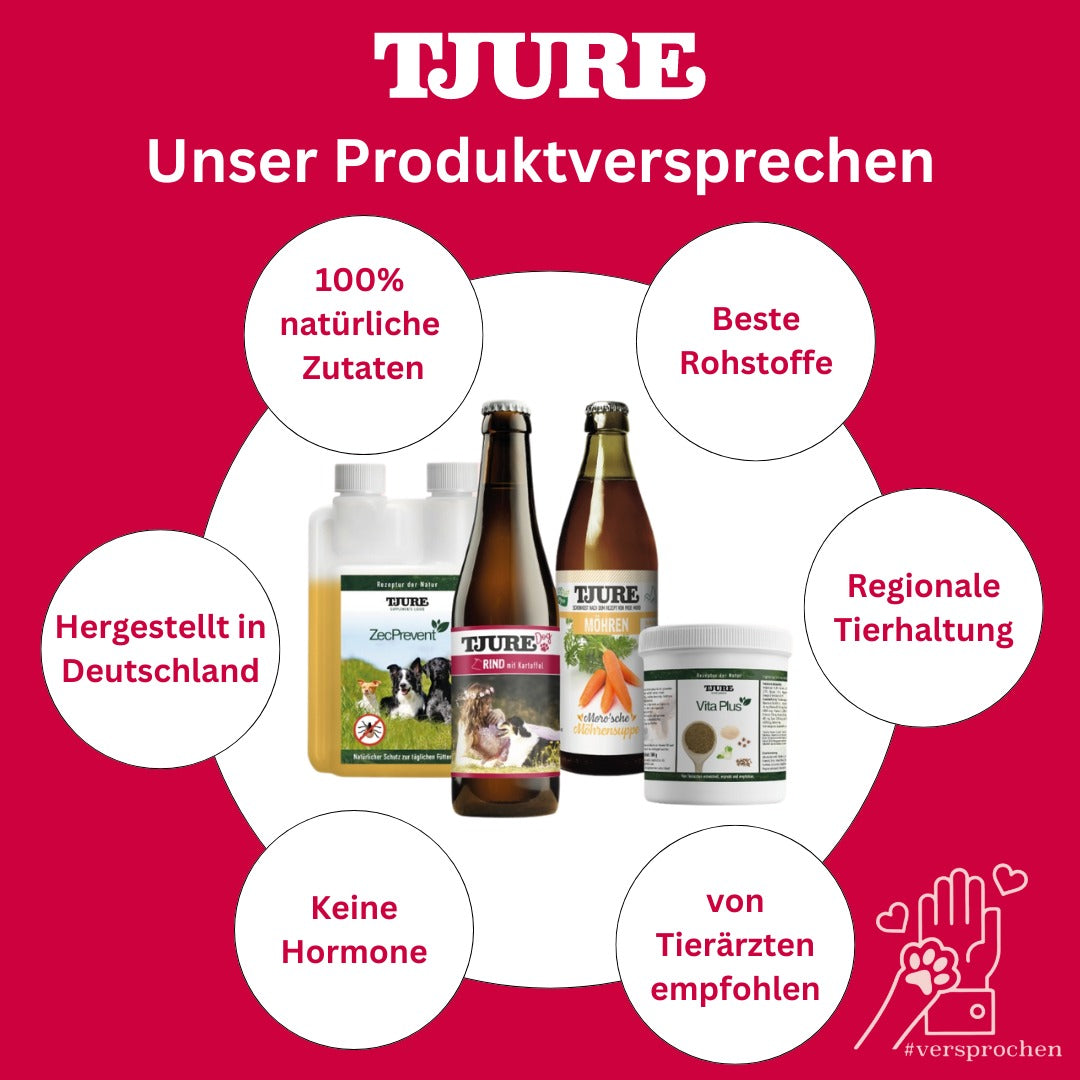 Dein Trinkerlebnis für Hunde und Katzen – Unser Produktversprechen
