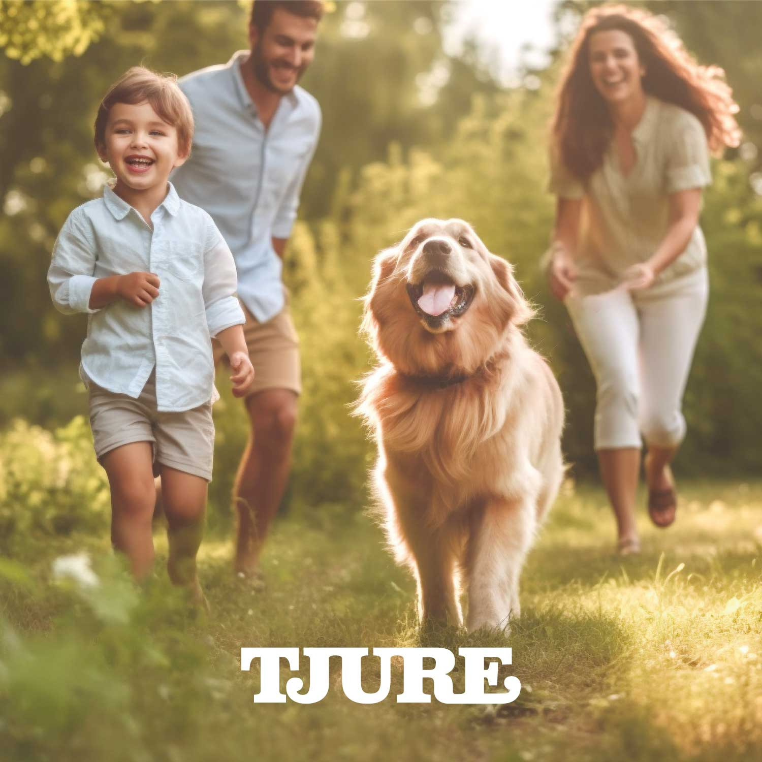 Für Hunde
