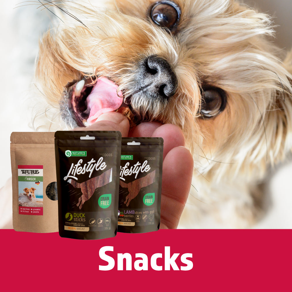 Snacks für Hunde