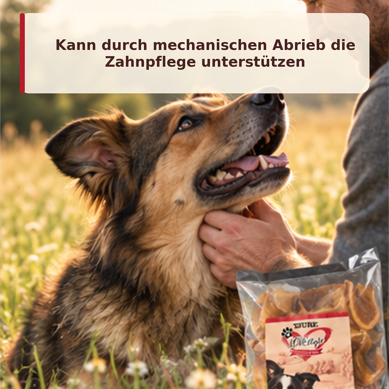 TJURE LOVESTYLE Perro - Piel de cabeza de vaca 500 g.