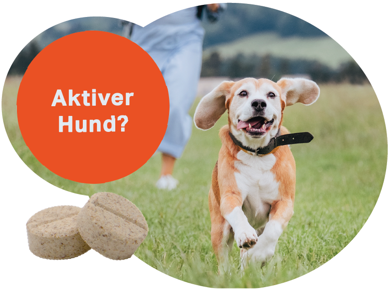 Tabletas Medidog Gelenk Aktiv 120 g