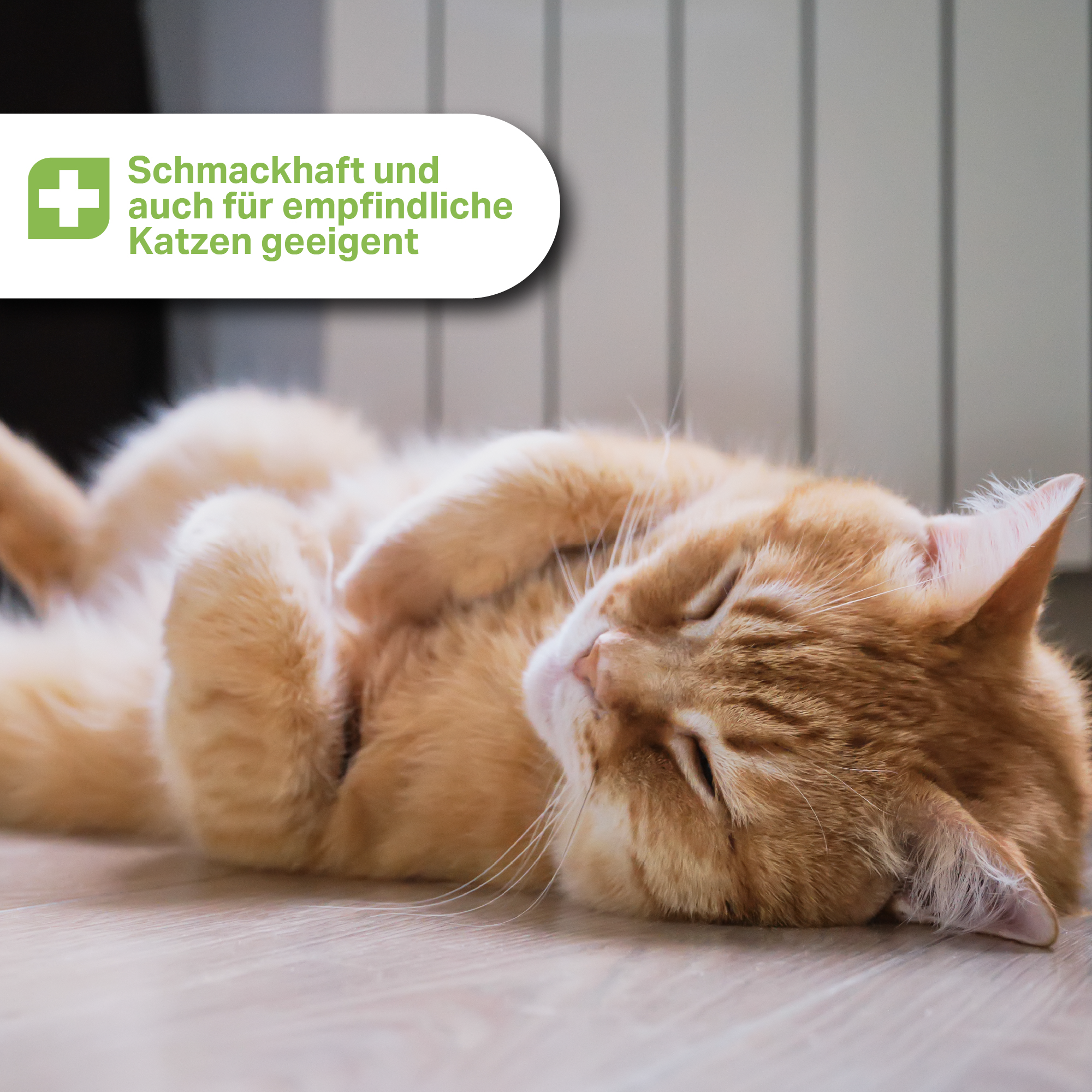 Medicat Pasta de corteza de olmo 200 g