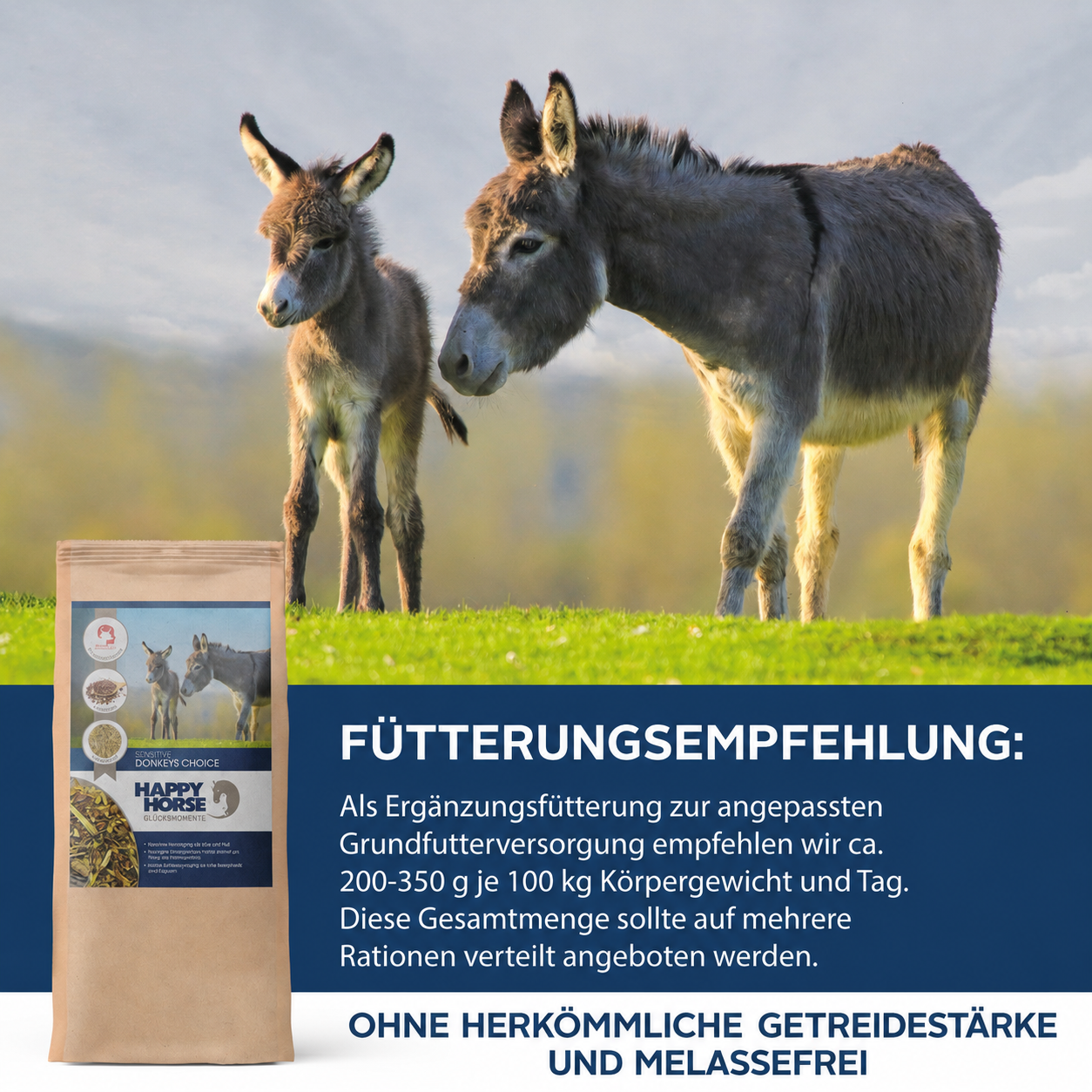 Sensitive Donkeys Choice para burros, mulas y mulares