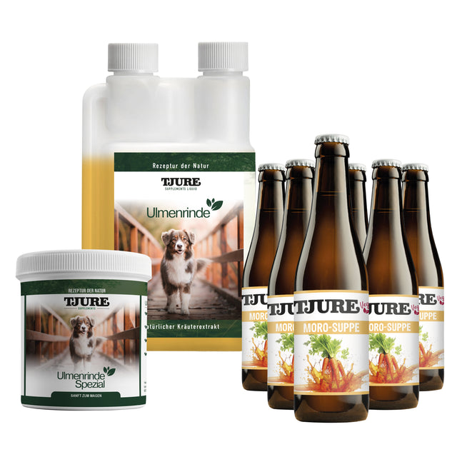 Set Estómago e Intestinos - Para una sensación abdominal fuerte y relajada – día tras día