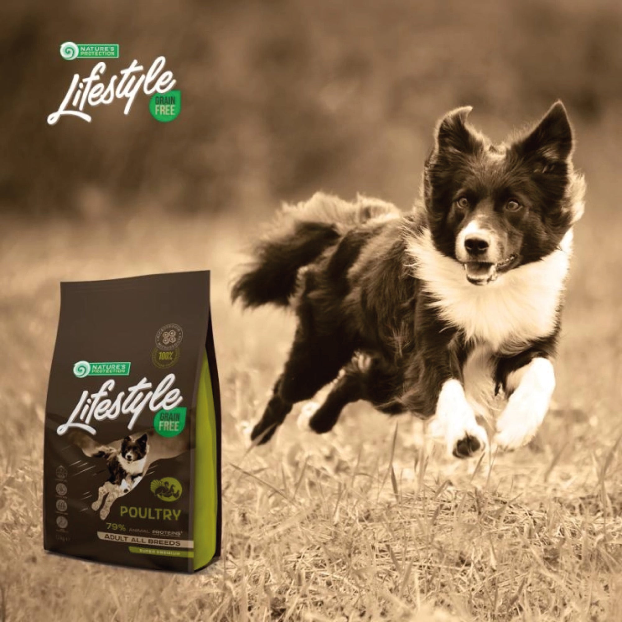 NP Lifestyle AVE & PATATA alimento seco sin cereales para perros adultos de todas las razas