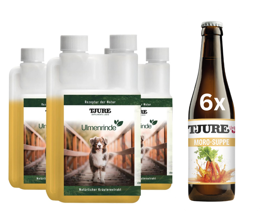 TJURE - Kit de Emergencia (TJURE Corteza de Olmo 3x500 ml + 6 x Sopa de Zanahoria)