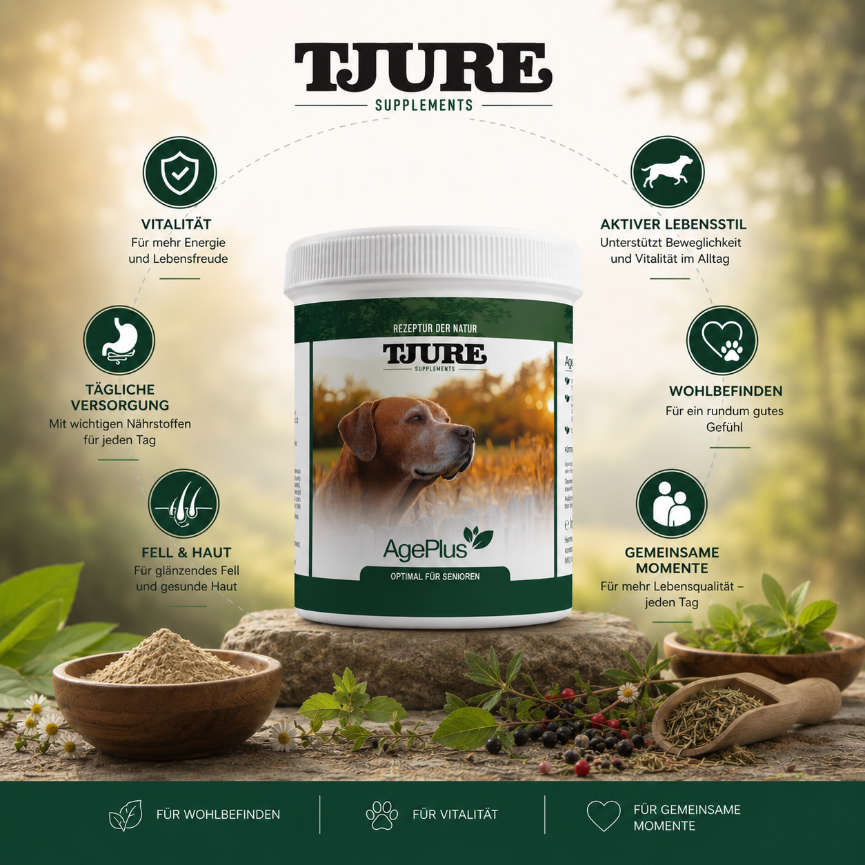 TJURE - Age Plus 500 g | vitaminas importantes | minerales | proteínas