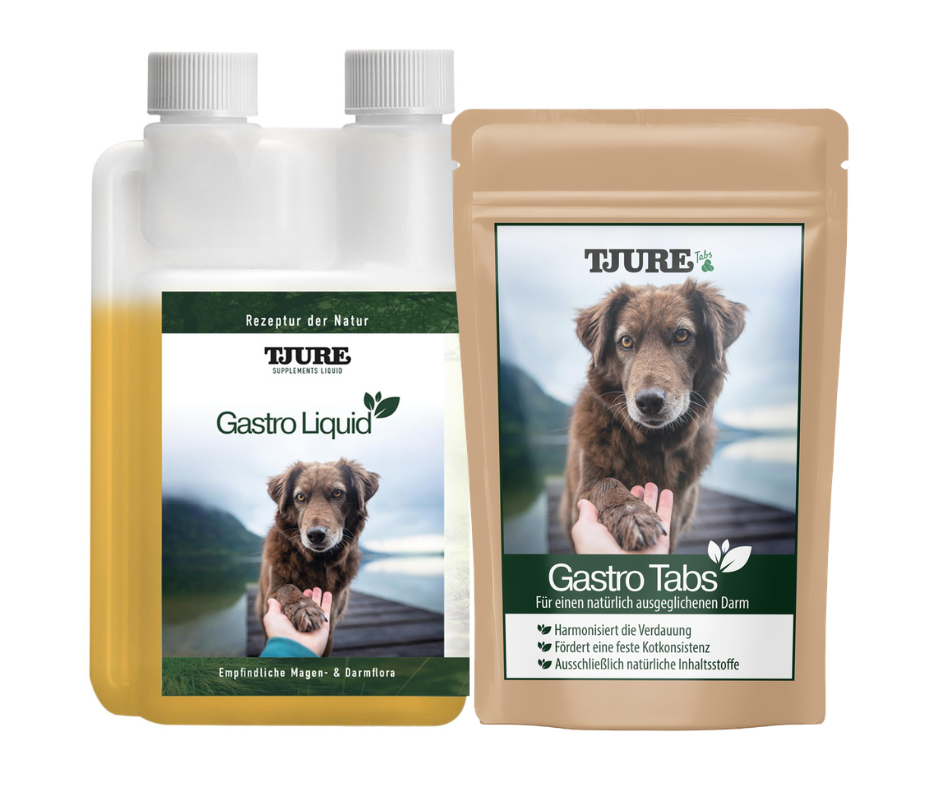TJURE - Paquete Gastro | Tabs 250 g + 500 ml Gastro Liquid | Para un estómago y intestinos saludables