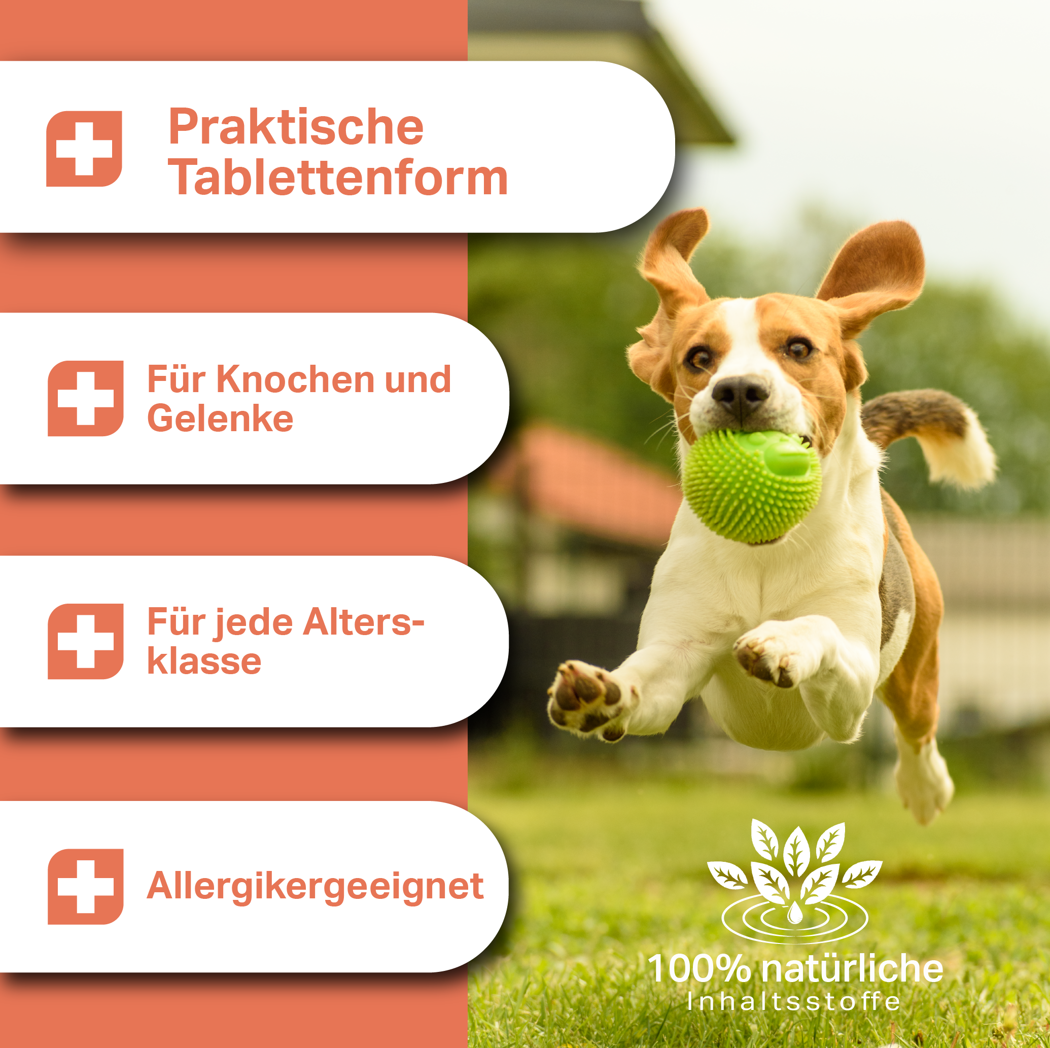 Tabletas Medidog Gelenk Aktiv 120 g