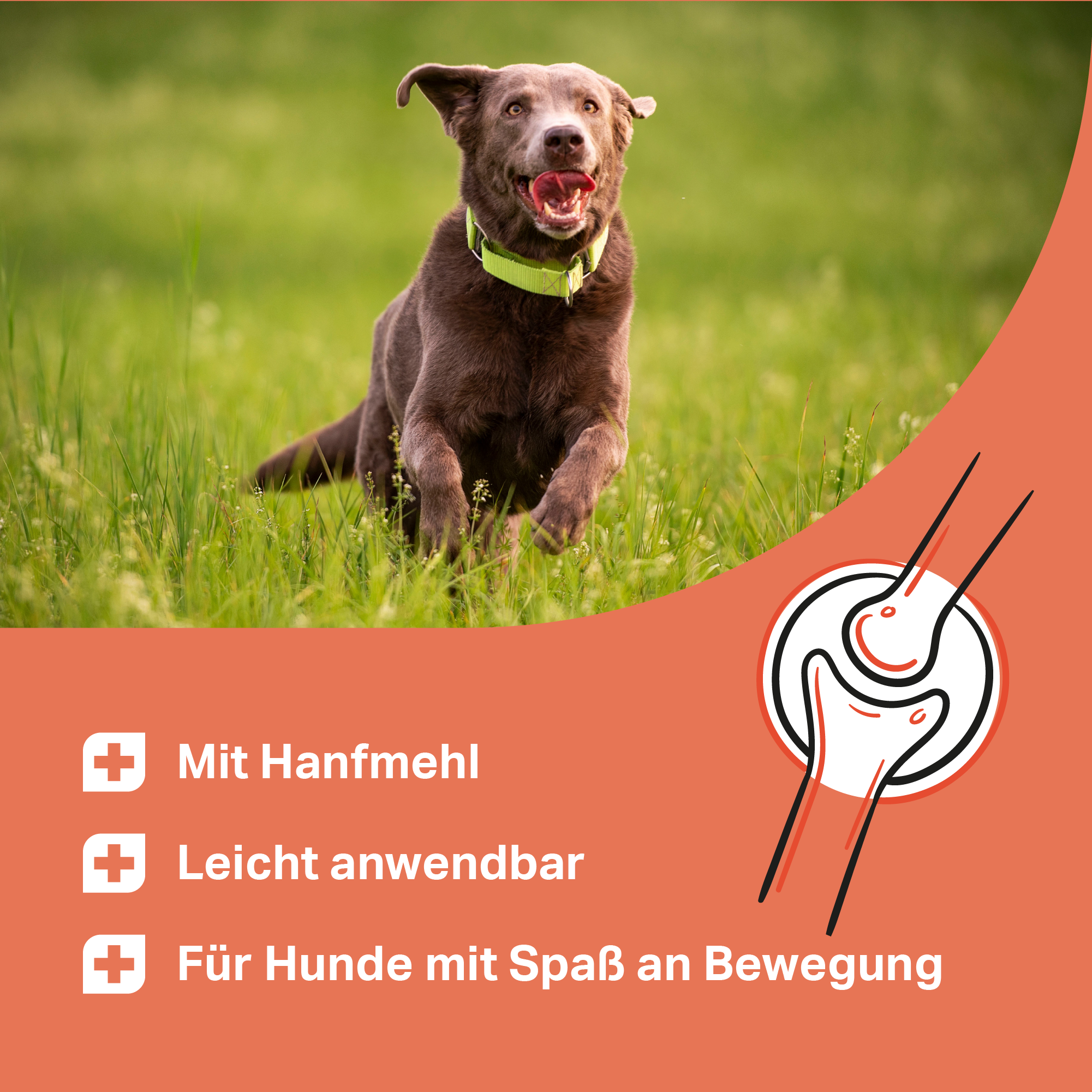 Tabletas Medidog Gelenk Aktiv 120 g