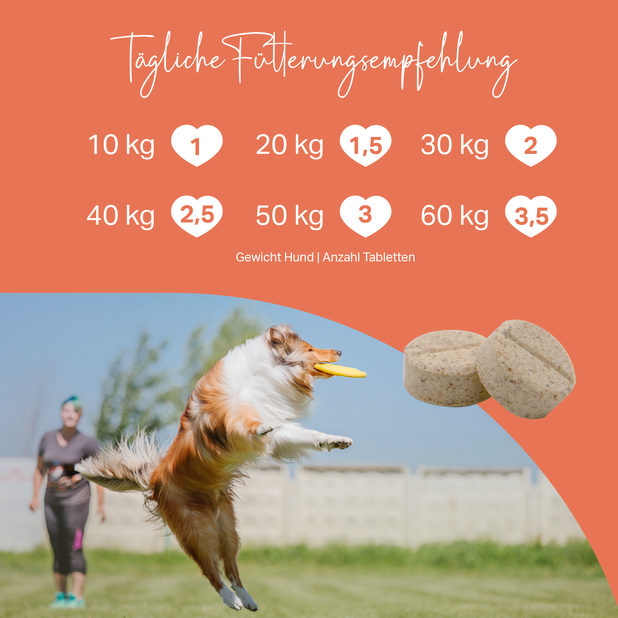 Tabletas Medidog Gelenk Aktiv 120 g