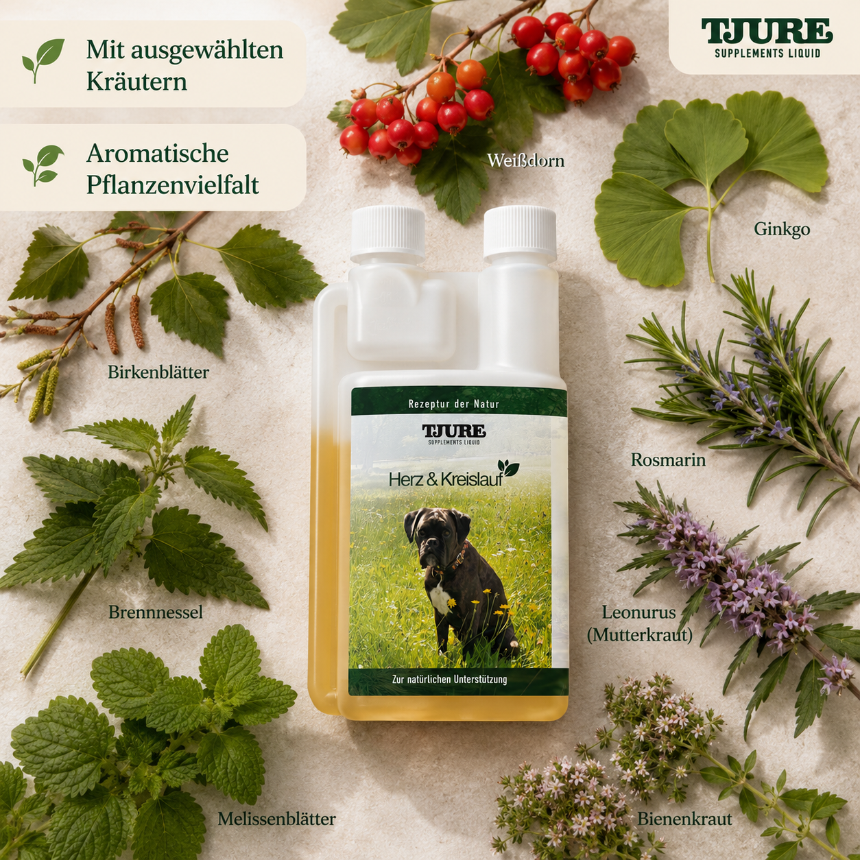 Set Fuerza interior - para vitalidad, equilibrio y una vida larga para perros