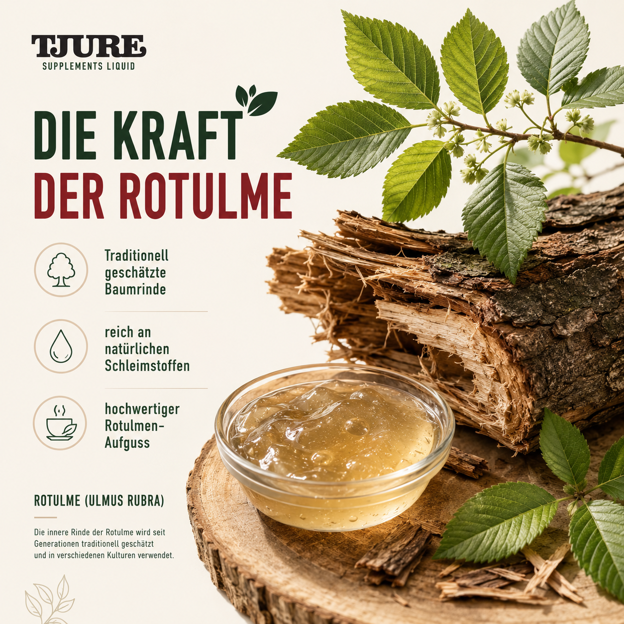 TJURE - Corteza de olmo líquida 250 ml - 1000 ml | Fuerza natural para una buena sensación en el estómago